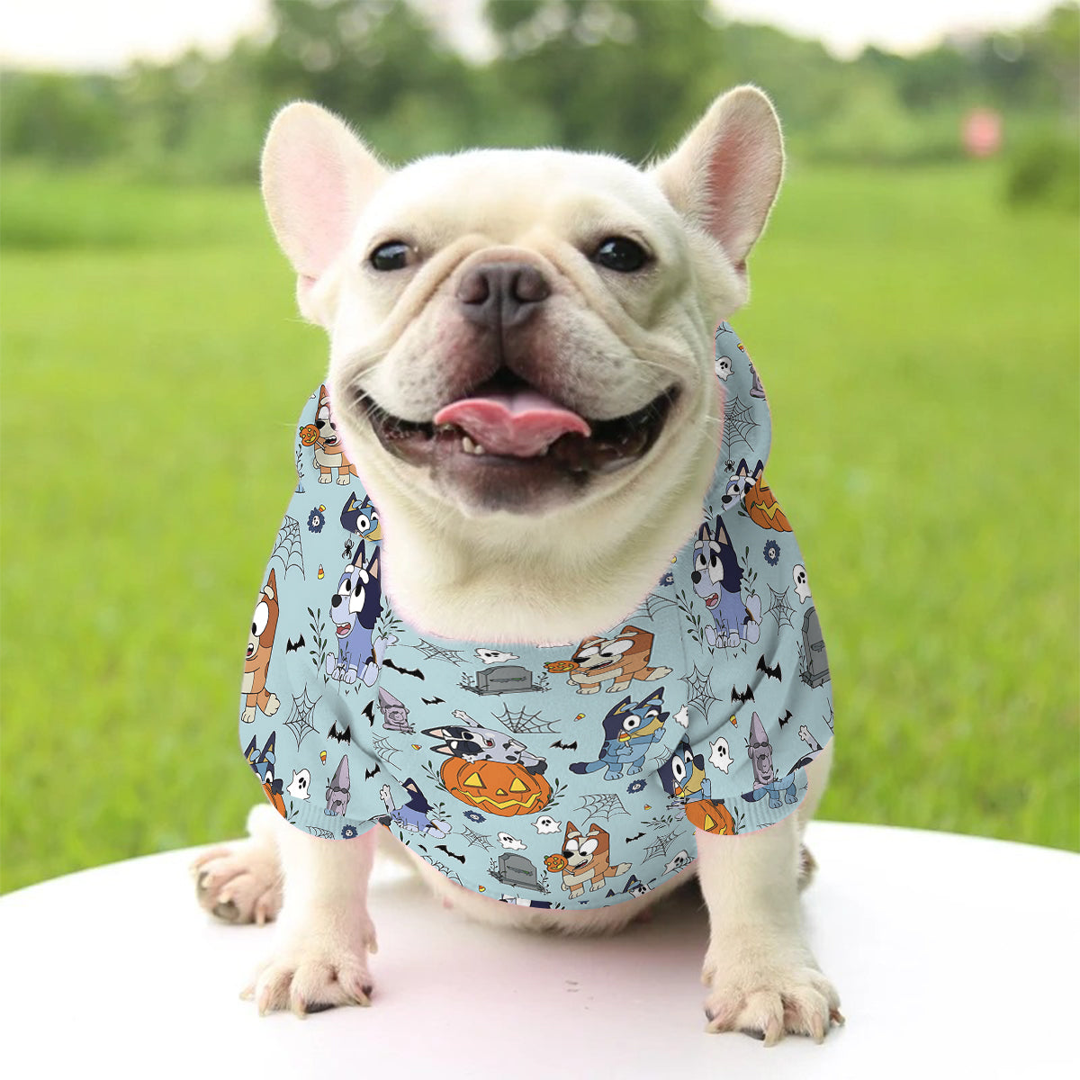 Halloween Cute Booey Dog - Personalized Dog Pet Hoodie