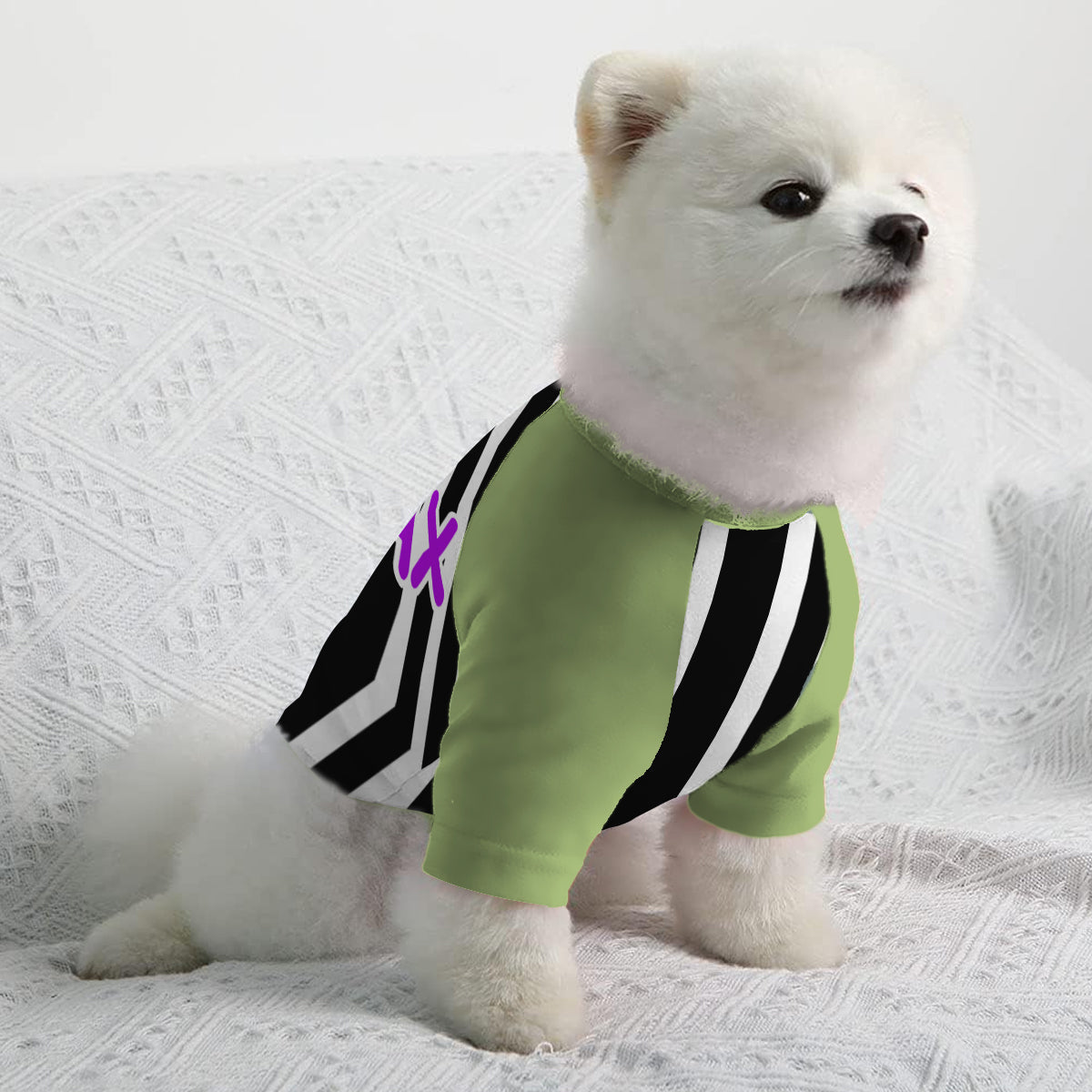 It's Show Time - Personalized Pet Shirt