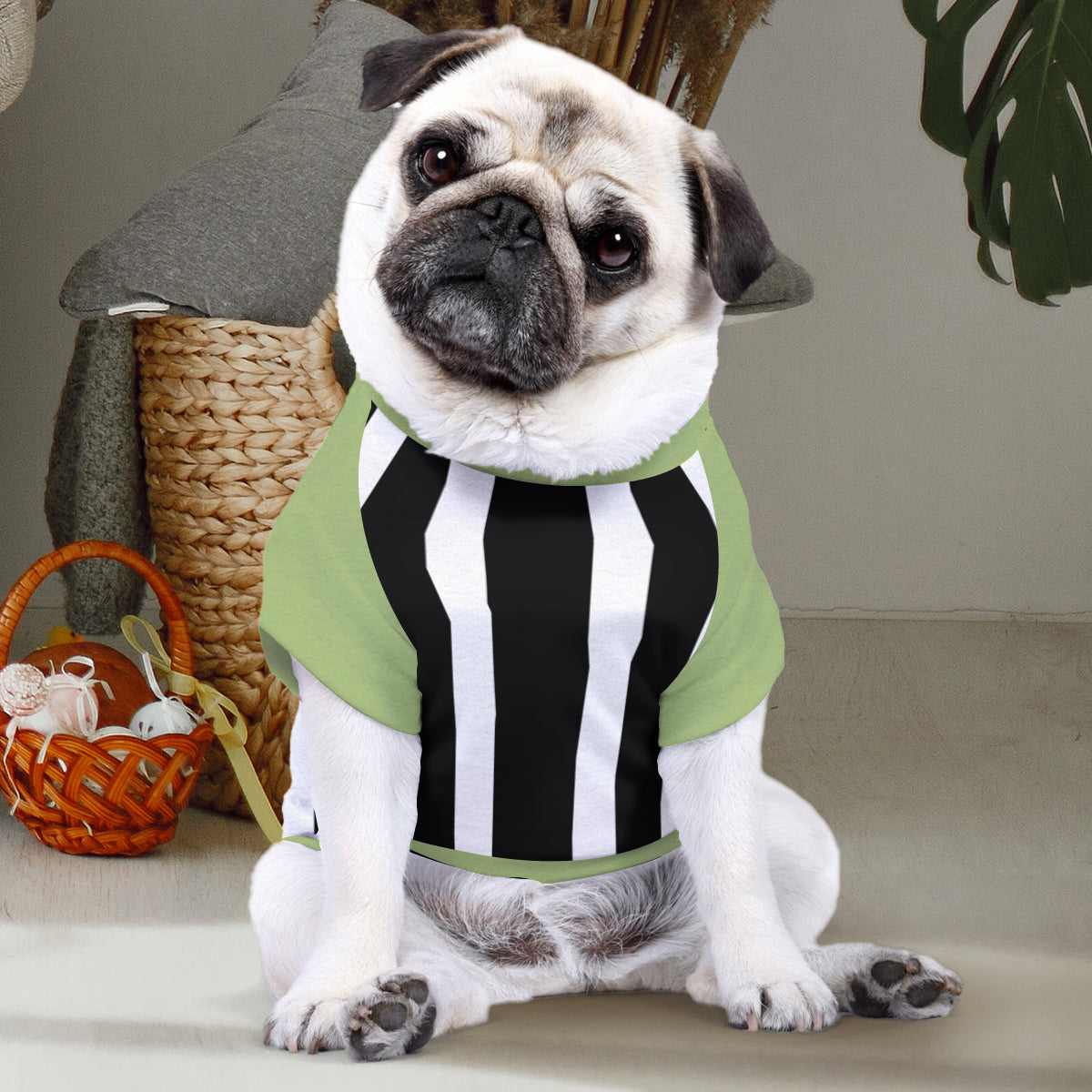 It's Show Time - Personalized Pet Shirt
