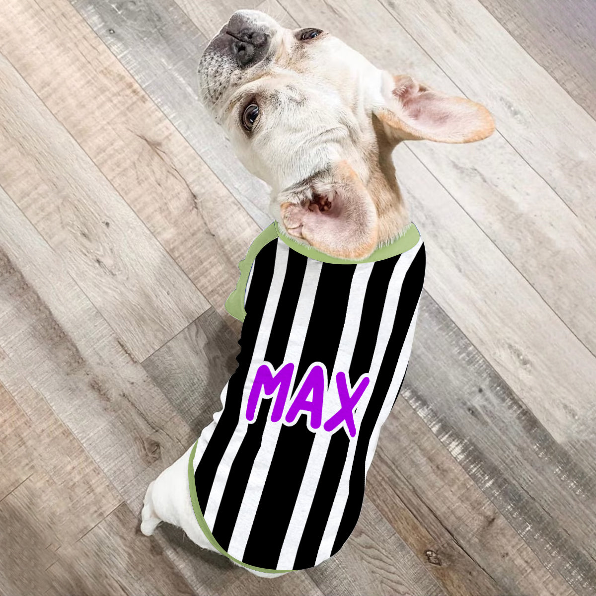 It's Show Time - Personalized Pet Shirt