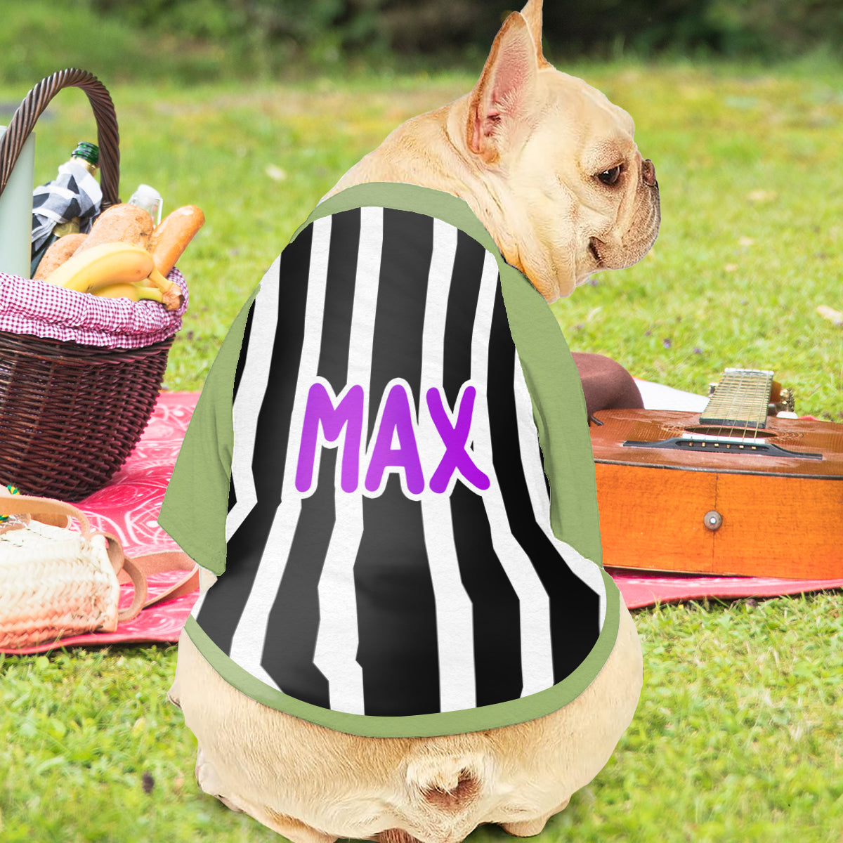 It's Show Time - Personalized Pet Shirt