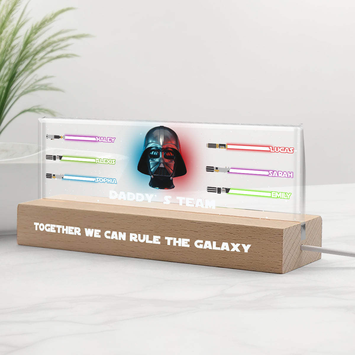 Together We Can Rule The Galaxy - Personalized The Force Custom LED Night Light