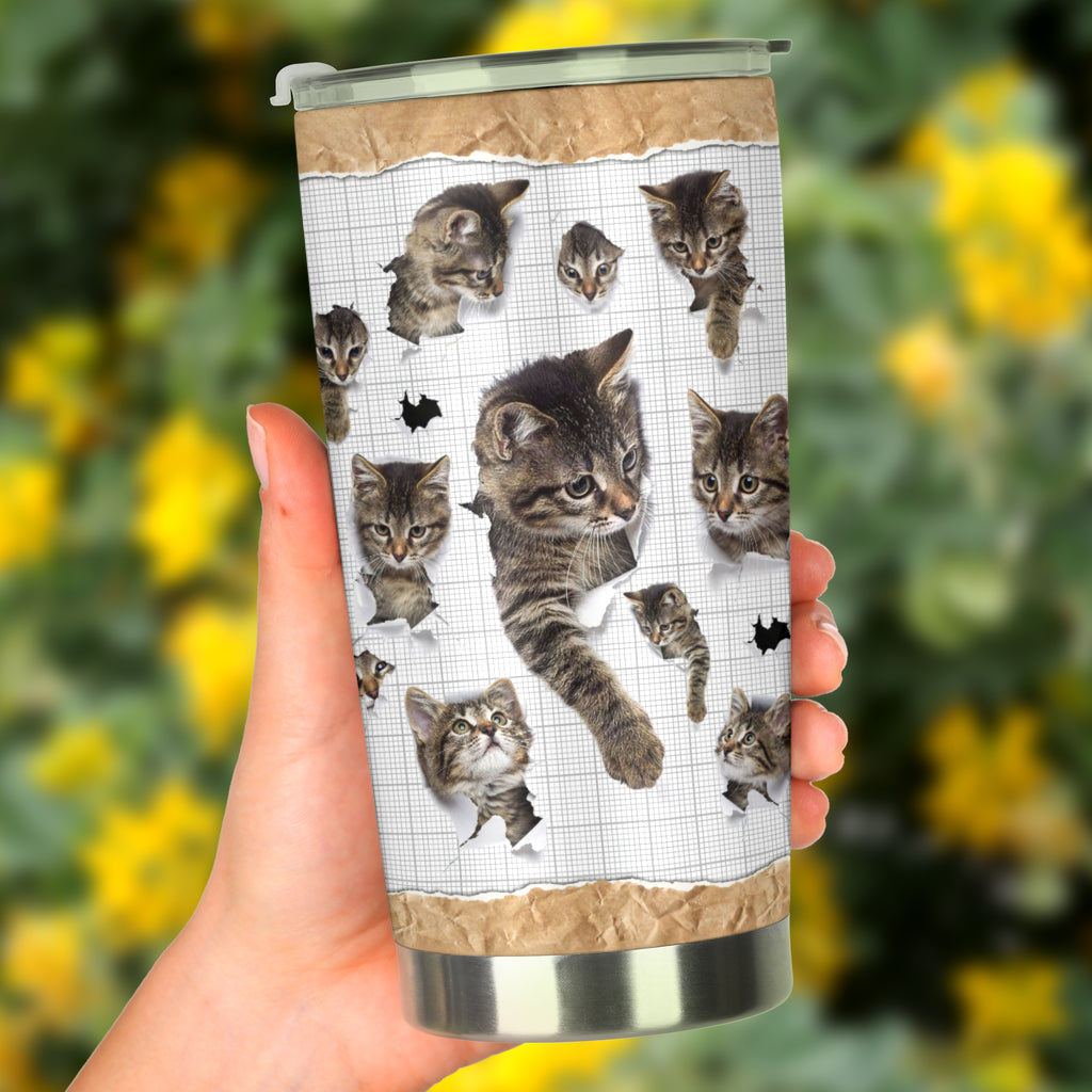 Cats Cat Tumbler 0622