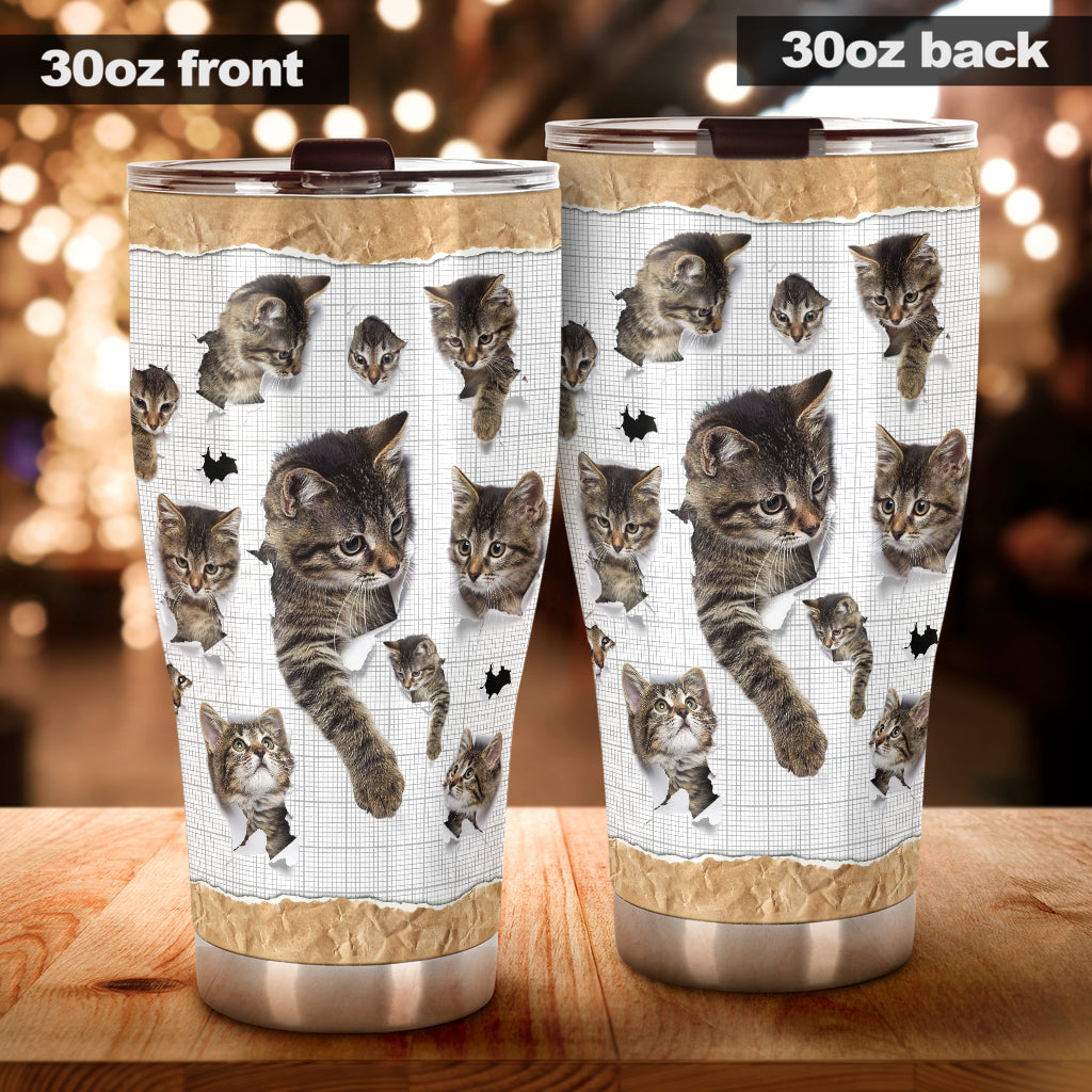 Cats Cat Tumbler 0622